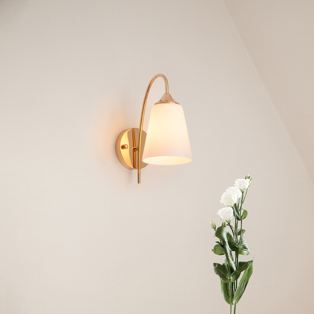 모모코 1등 벽등