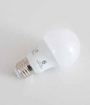 LED 에코 벌브 8W