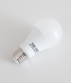 LED 에코 벌브 12W
