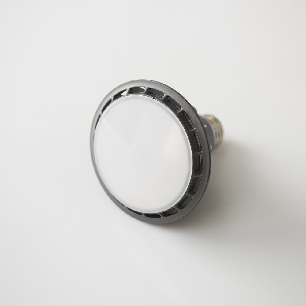 LED PAR30 확산형 15W 램프
