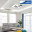 LED 토피 거실등 250W