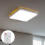 LED 아라스 시스템 디밍 리모컨 방등 60W