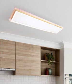 LED 알루스 주방 2등 50W