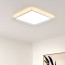 LED 루아스 프로 방등 50W